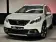 Peugeot 2008 1.2 PureTech | SUV | 110 pk | LEZ Vrij