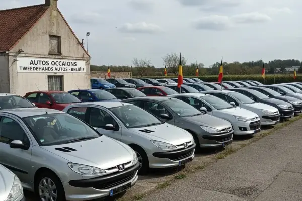 De Invloed Van Autokleur Op De Verkoopprijs